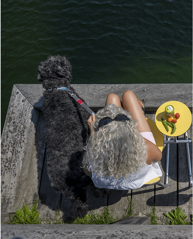 En kvinde med en hund, der sidder på en gul Plateau City Chair med armlæn og nyder en snack på Amagerstrand