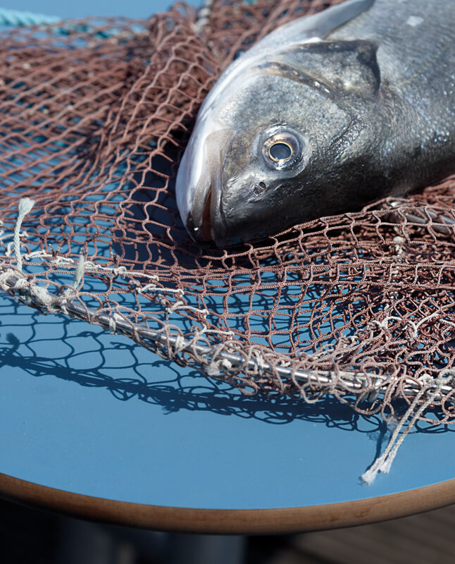 Nærbillede af en fisk fanget i et net, lagt ud over et PLATEAU Picnic O bordbænkesæt